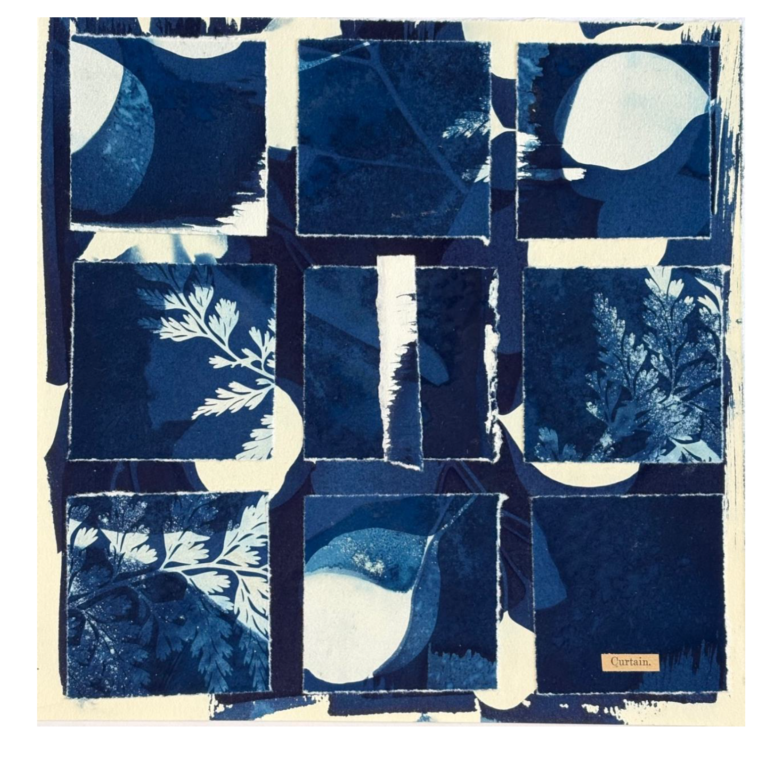 Rhythmic Exercises: nocturnal movement in cyanotype squares